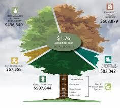 The I-Tree International Academy Learning Journey