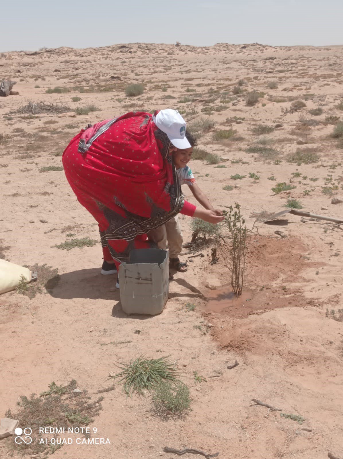 Seeds of Change: Empowering Saharan Nomadic Farmers through Tree Planting